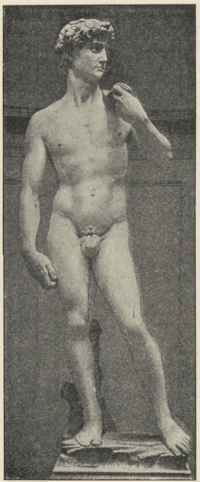 Fig. 238. Dawid. Michał Anioł. Florencya. Akademia.