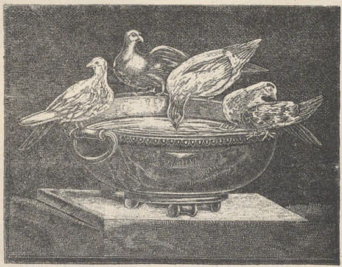 Fig. 358. Mozaika z gołębiami z willi Hadryana. Kapitol.
