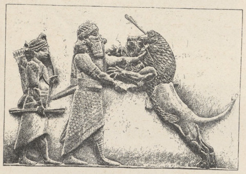 Fig.62. Assurnazirpal zabijający lwa. Z płaskorzeźby alabastrowej z Kujundżiku. Londyn