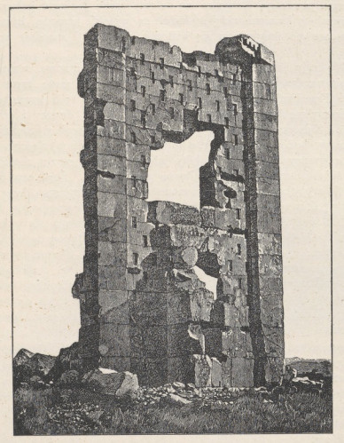 Fig.65. Król perski, płaskorzeźba z Murgabu