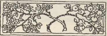 Ryc. 25.