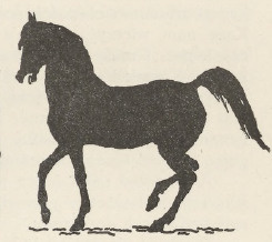 Ryc. 64.