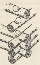 Ryc. 149.