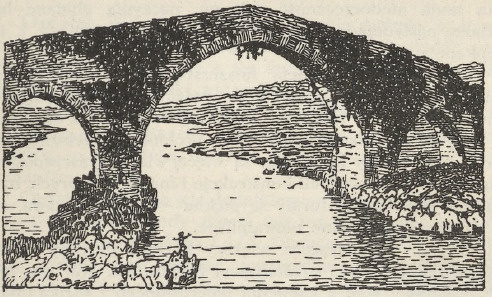 Ryc. 158. Most w Cangas de Onis.