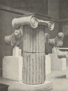 Ryc. 168. Głowica jońska.