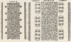 Ryc. 196
