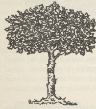 Ryc. 198.