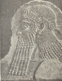 Hyc. 207. Głowa władcy assyryjskiego znaleziona w Korzakadzie.