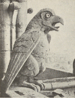 Ryc. 213. „Chimera