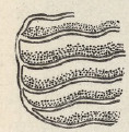 Ryc. 279.