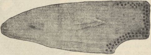 Rys. 17. Kamień z Wilczewa, dołkowany o dołkach wklęsło wydrążonych (w pow. sztumskim).