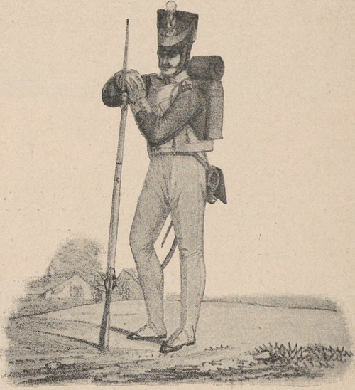 Wojsko Królestwa Polskiego. Pułk III piechoty liniowej.