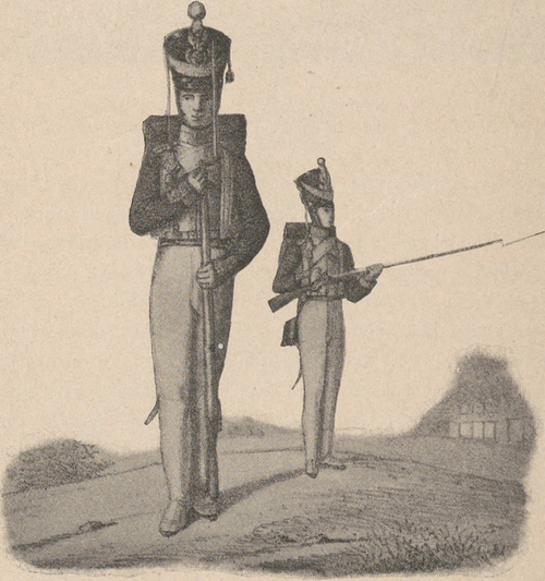 Wojsko Królestwa Polskiego. Pułk IV piechoty liniowej.