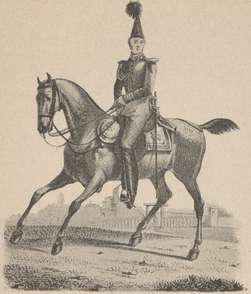 Wojsko Królestwa Polskiego. Fligiel-adjutant Jego Cesarsko Królewskiej Mości.