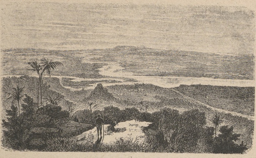 Niger (ujście rzeki Binue).