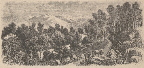 Mount Hotham w Australii.