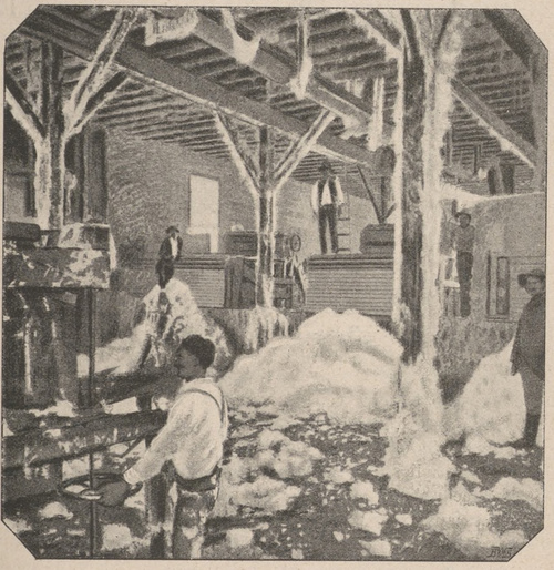 Magazyn bawełny nad rzeką Mississippi.