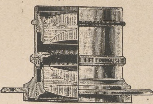 Ortostygmat Stein'ieila.