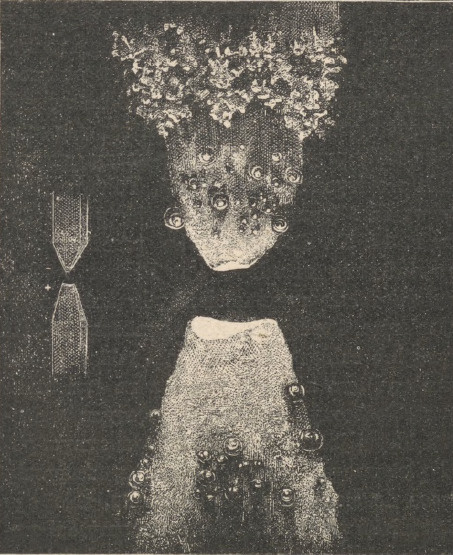 Łuk Volty.