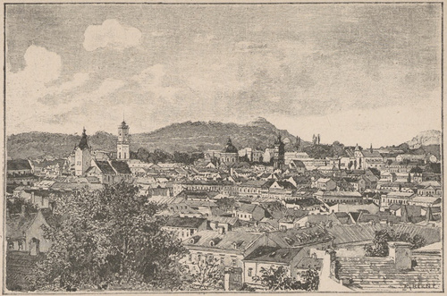 Lwów. Widok ogólny.