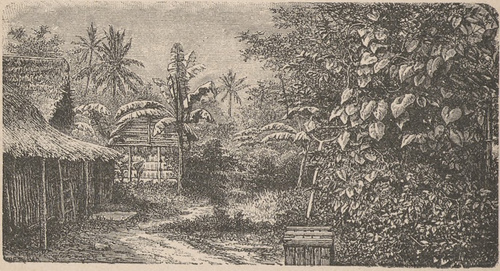 Wieś na wyspie Borneo.