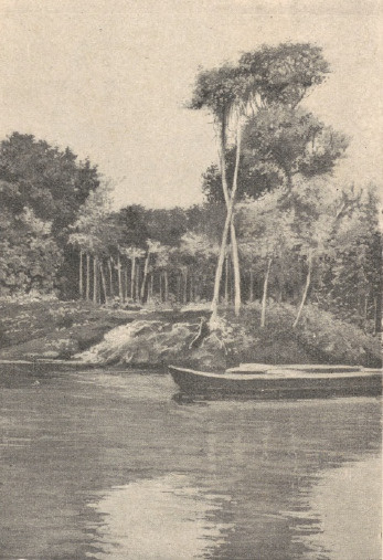 Parana. Rzeka Iguassu.