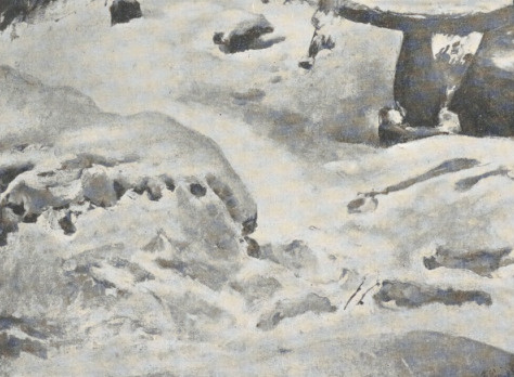 102. ŚNIEG W OGRODZIE (1856). Wł.: Adam Borzęcki, Warszawa.