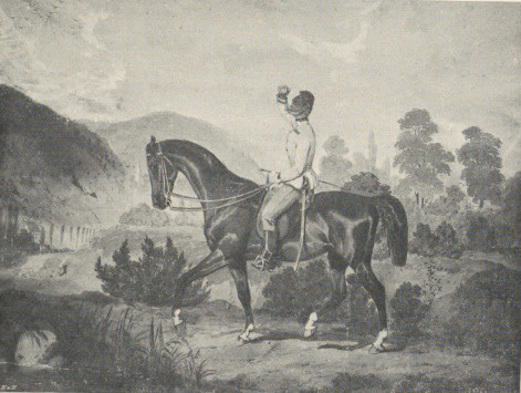 100. A. HR. PAPPENHEIM NA KONIU. TRAUERSDORF 1857. AKWARELA