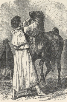 162. OBÓZ CYGANÓW (FRAGMENT, DRZEWORYT Z “ILUSTRYT ZEITUNG” 1863