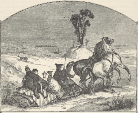 165. POLOWANIE NA LISA, DRZEWORYT “ILLUSTRIERTE ZEITUNG” 1862