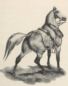 30. ALBRECHT ADAM: KOŃ, FRAGMENT Z LITOGRAFII “BATILLE DE MONTEREAU”