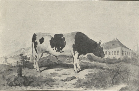 44. BYK. AKWARELA. ŚLEDZIEJOWICE 1854