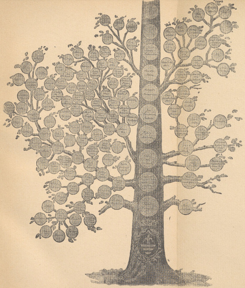 Drzewo genealogiczne Kościuszki. (Muzeum narodowe w Rapperswilu.)