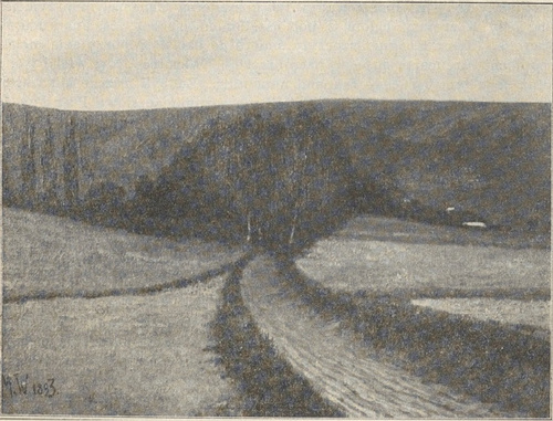 Nr. 69. Droga prowadząca od wsi Janowiczki do wsi Dziemierzyce, malował Wawrzeniecki 1893.