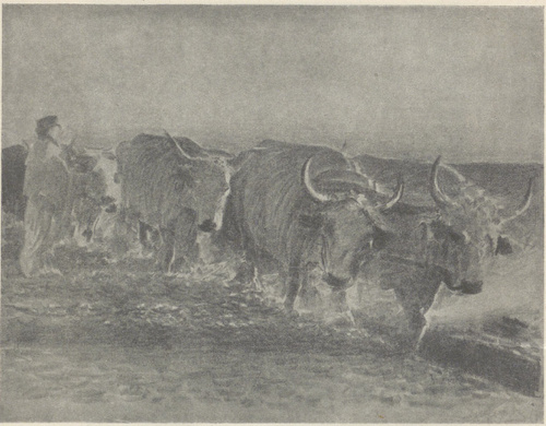 ORKA NA UKRAINIE (iitogr., 1913)