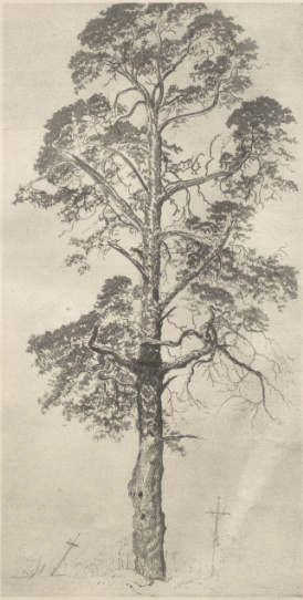 Z TEKI „WSPOMNIENIA Z LEGIONOWA (litografia barwna, 1916)