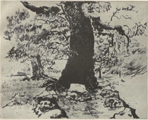 STARY SUCHAR (litogr., sposób pędzlowy, 1924)