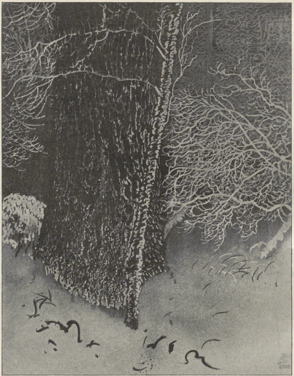 SĘDZIELINA (Iitogr., sposób pędzlowy , 1924)