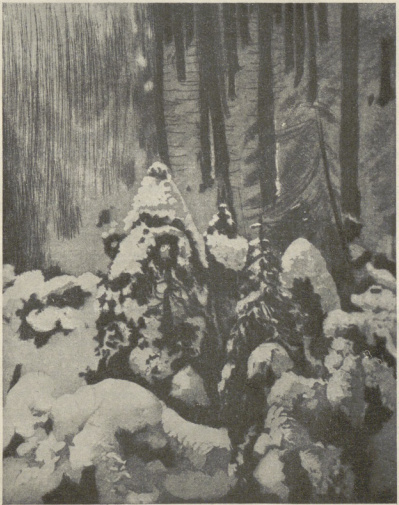 Z TEKI TATRZAŃSKIEJ (akwatinta z akwafortą , 1906)
