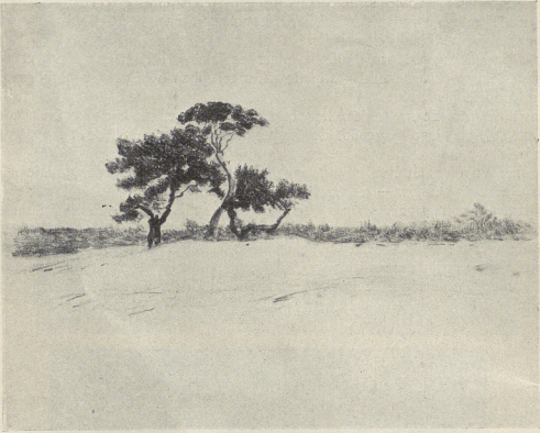 Z TEKI LITEWSKIEJ (litogr. kredy na kamieniu, 1907)